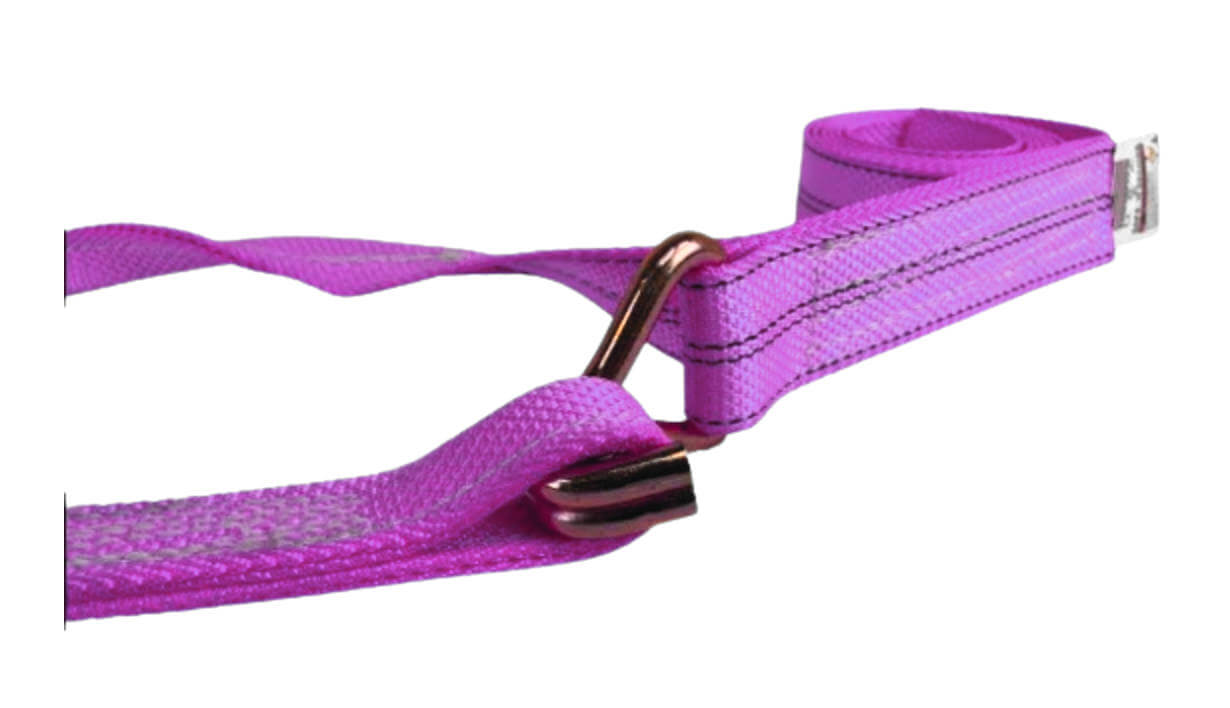 purple car carrier tie-down strap with a loop end to pass through the wheel and a wire hook to attach it to